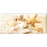 Легенда декор SeaShells кафель 200*450 крупные